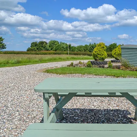 Sycamore - Uk47621 Hunmanby