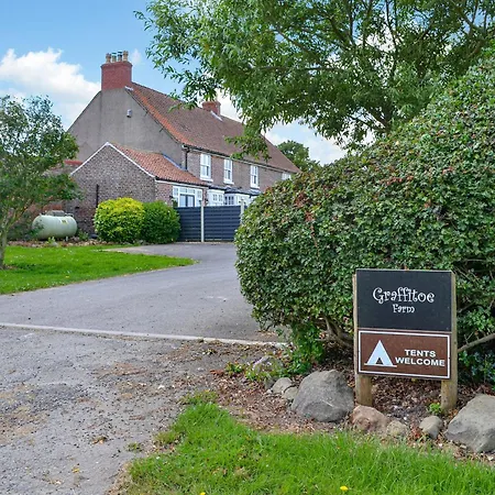 Sycamore - Uk47621 Hunmanby