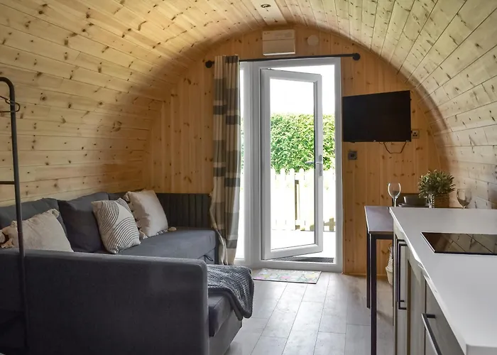 Sycamore - Uk47621 *