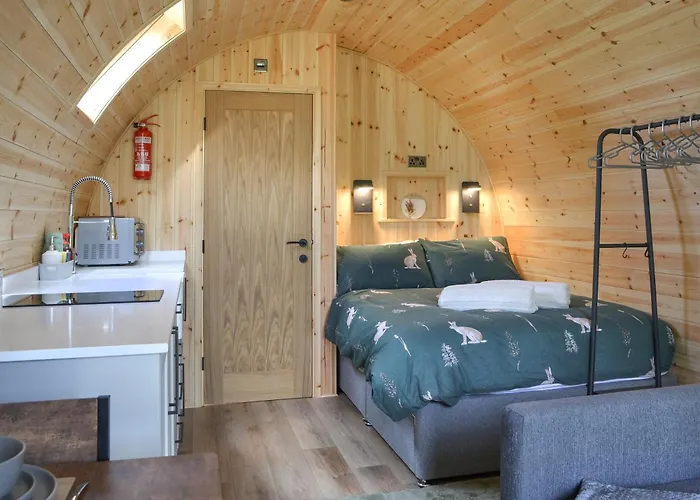 Hébergement de vacances Sycamore - Uk47621