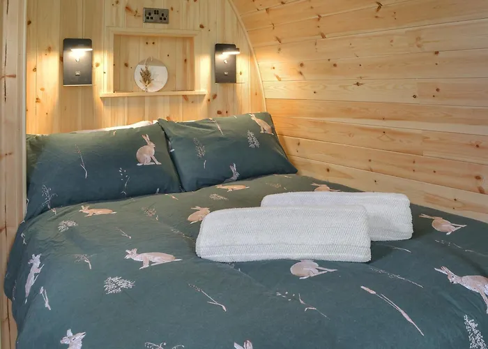 Hébergement de vacances Sycamore - Uk47621 *