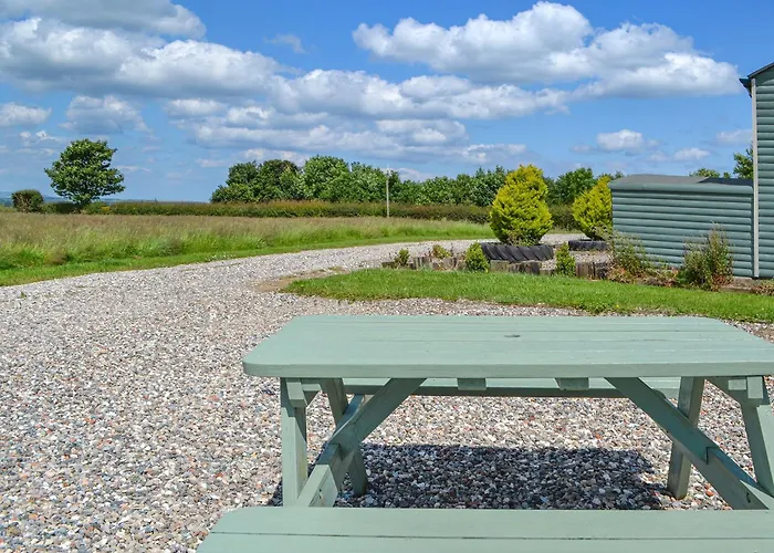 Sycamore - Uk47621 Hunmanby